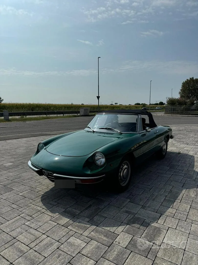 Alfa Romeo Spider