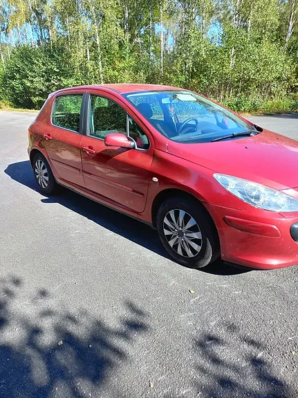 Peugeot 307 2006 photo 4
