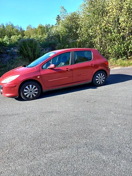 Peugeot 307 2006 photo 2