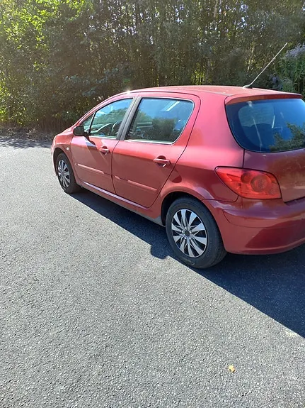 Peugeot 307 2006 photo 3