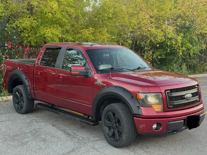 Ford F-150 2014 photo 3