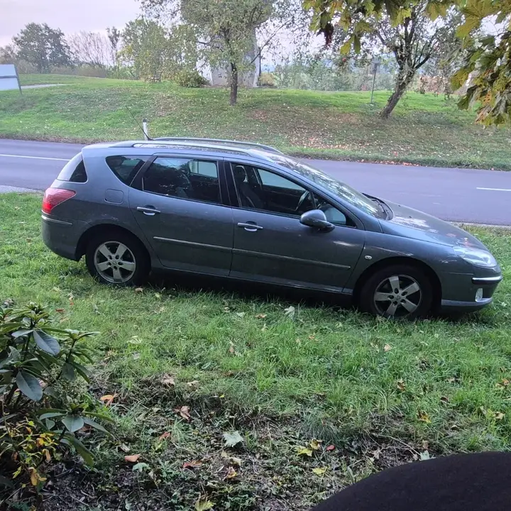 Peugeot 407 2010 photo 2