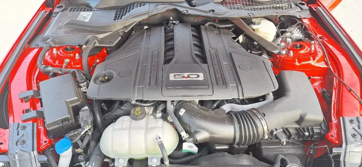 Ford Mustang 2023 photo 3
