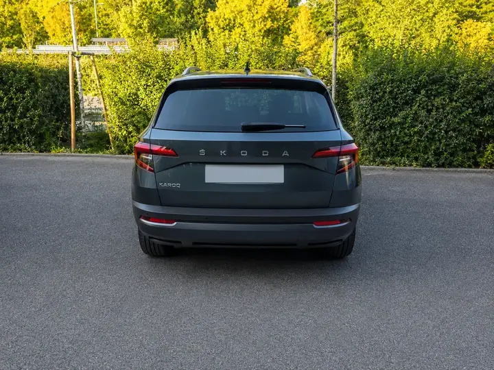 Skoda Karoq 2020 photo 3