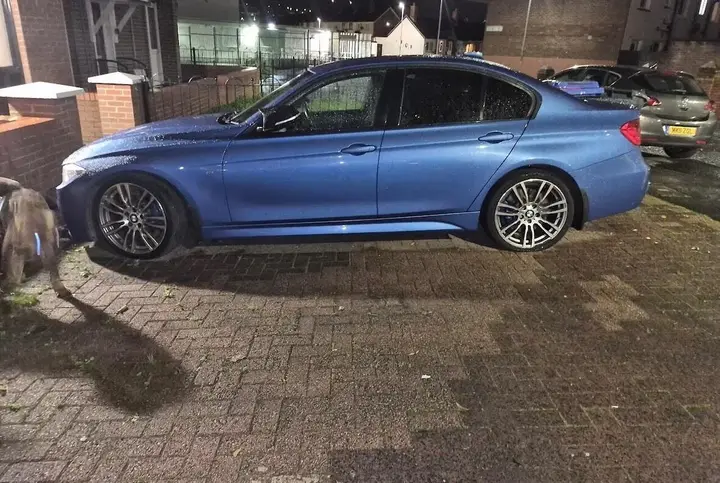 BMW 3 Series 2013 photo 2