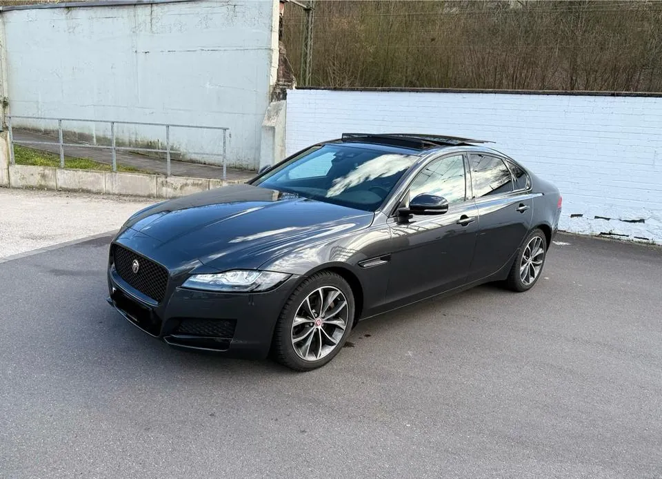 Jaguar Xf