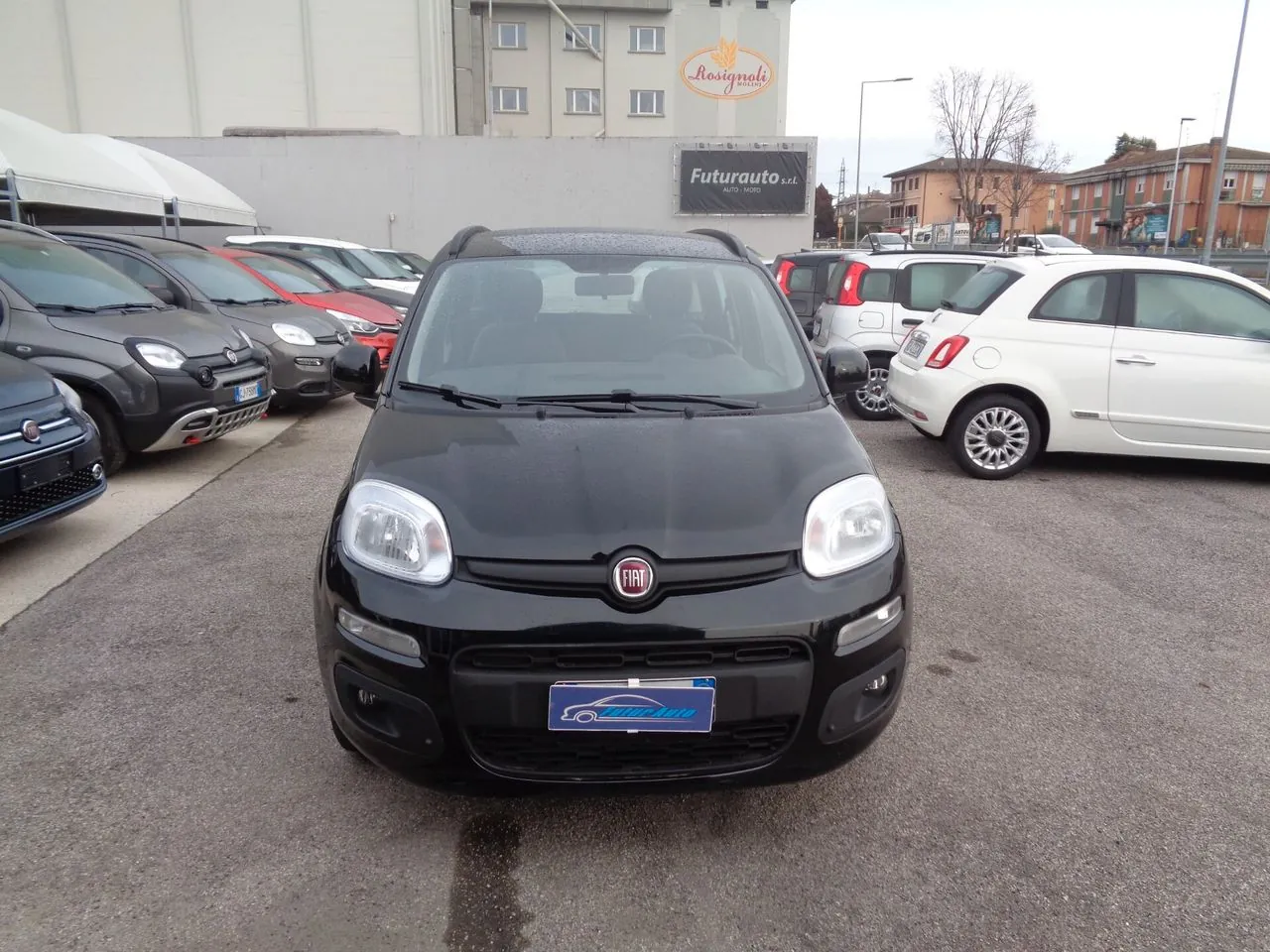 Fiat Panda 2021 photo 2