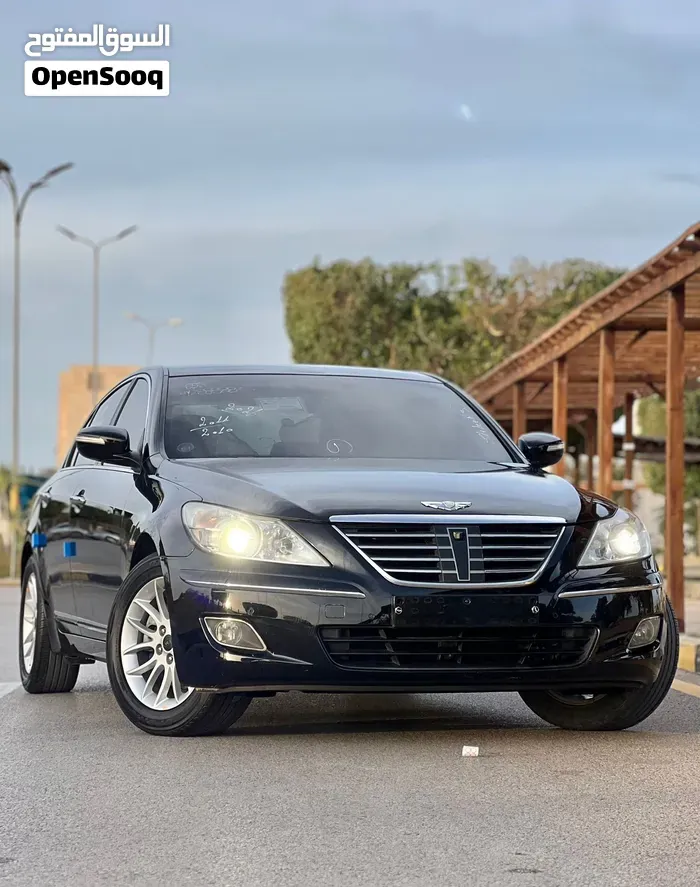 Genesis Sonata 2010 photo 2