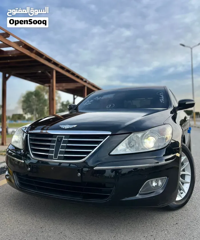Genesis Sonata 2010 photo 3
