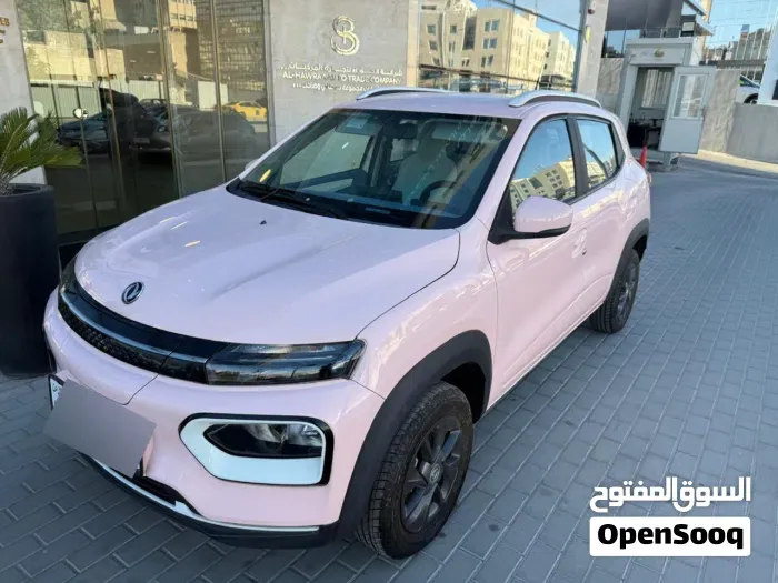 Dongfeng Ex1