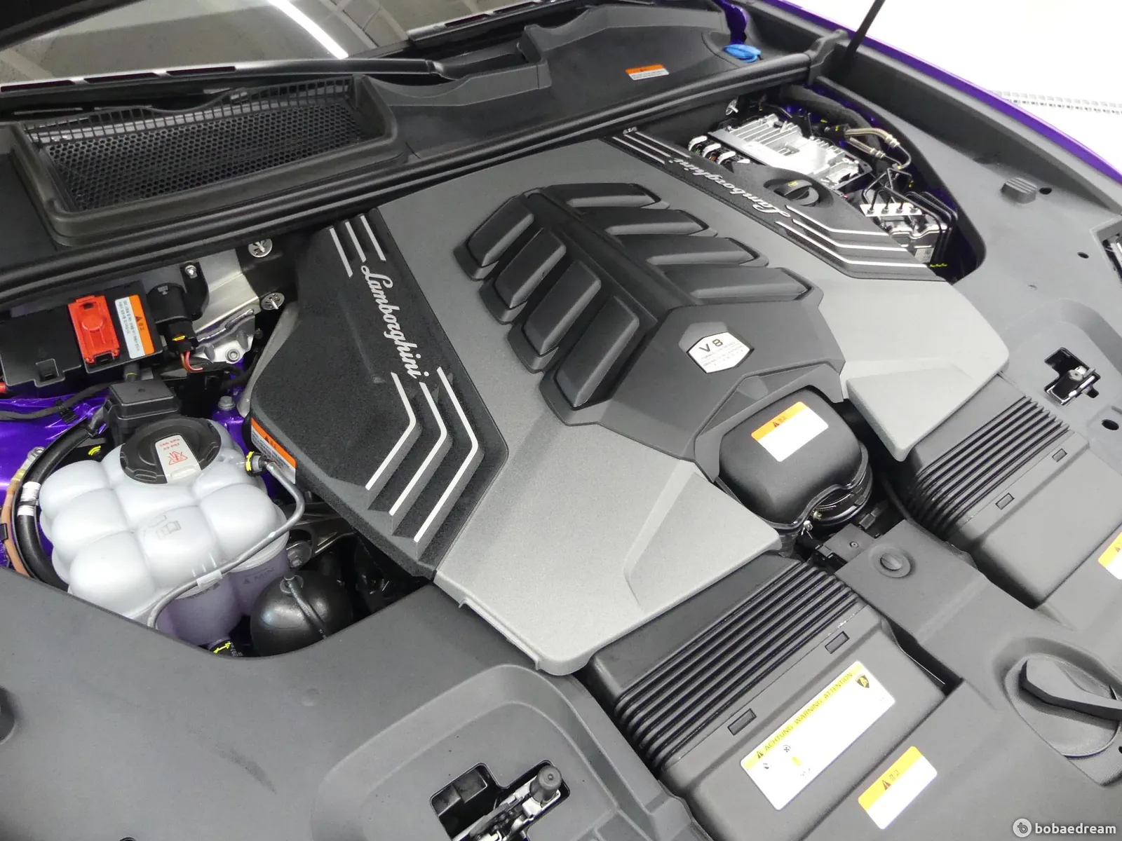 Lamborghini Urus 2024 photo 5