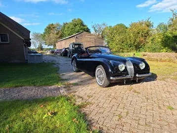 Jaguar Xk120 Dhc Cabrio