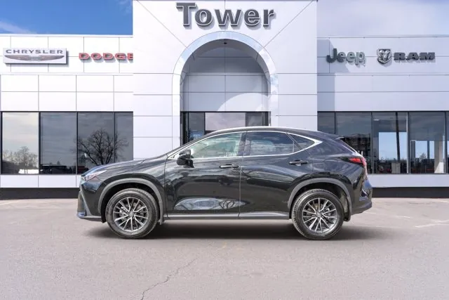 Lexus Nx 350 2024 photo 3