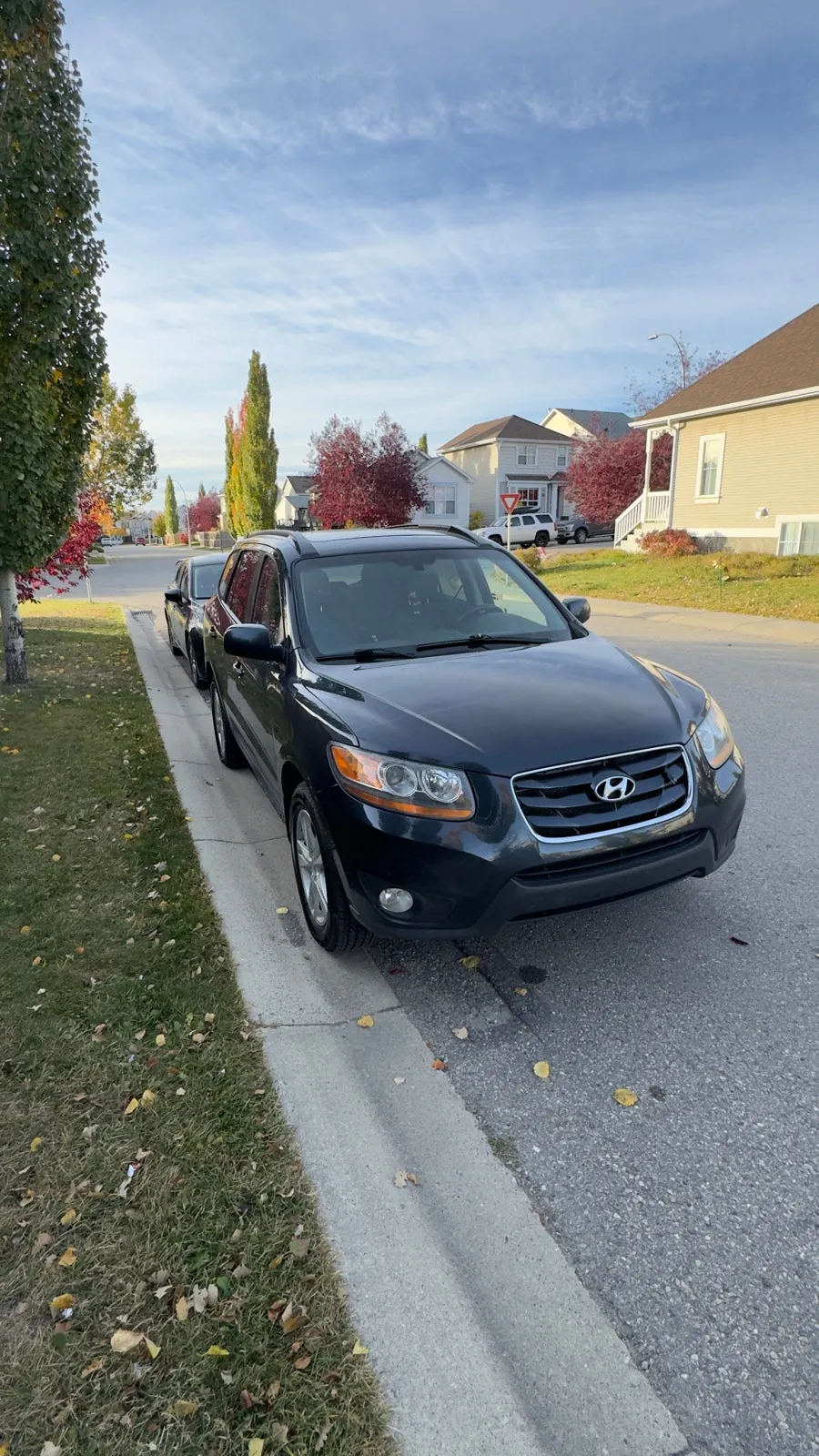 Hyundai Santa Fe 2010 photo 3
