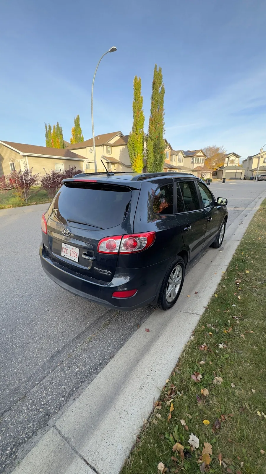 Hyundai Santa Fe 2010 photo 4