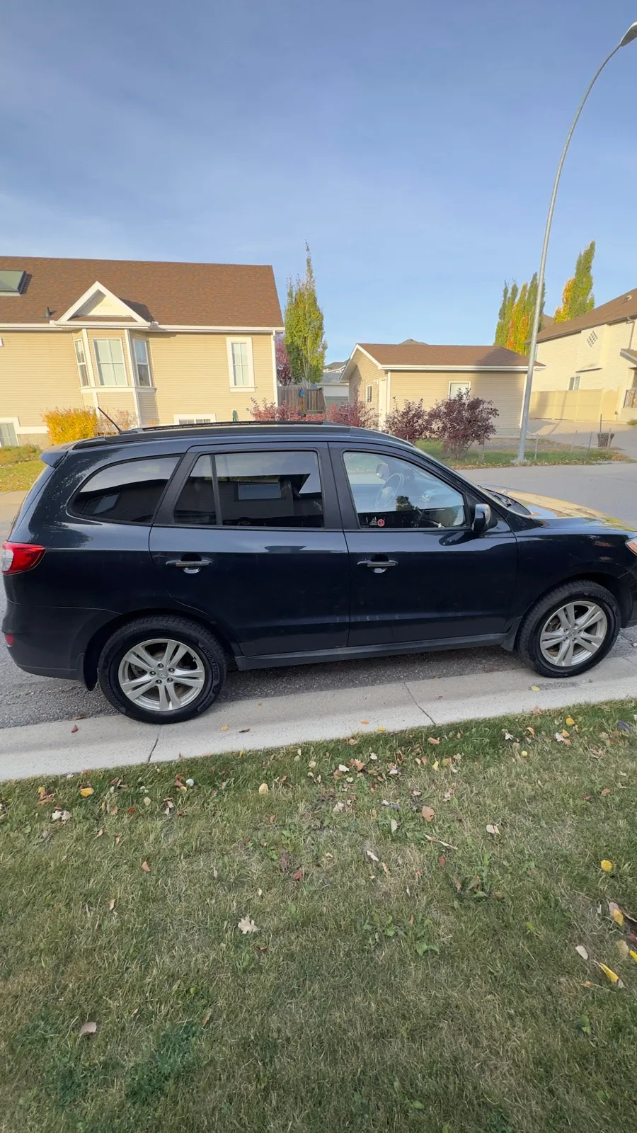Hyundai Santa Fe 2010 photo 2