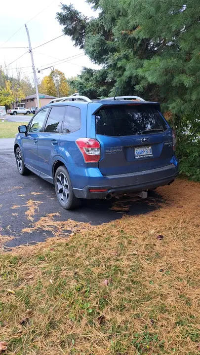 Subaru Forester 2015 photo 3