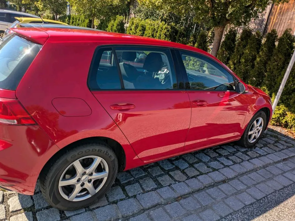 Volkswagen Golf Vii