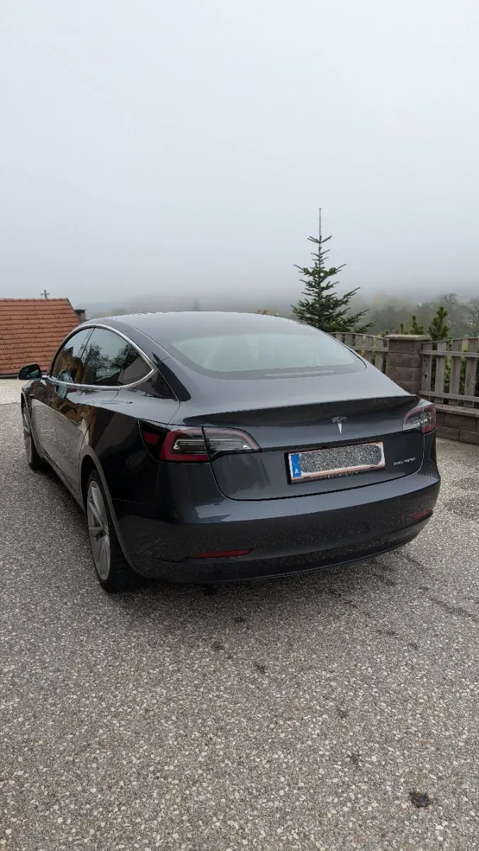 Tesla Model 3 2019 photo 3