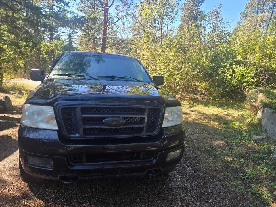 Ford F-150 2004 photo 3