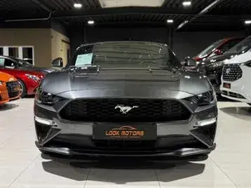 Ford Mustang 2019 photo 2