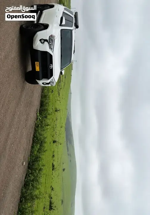 Toyota 4 Runner 2019 photo 2