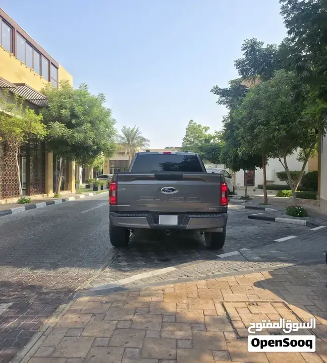 Ford F-150 2022 photo 4