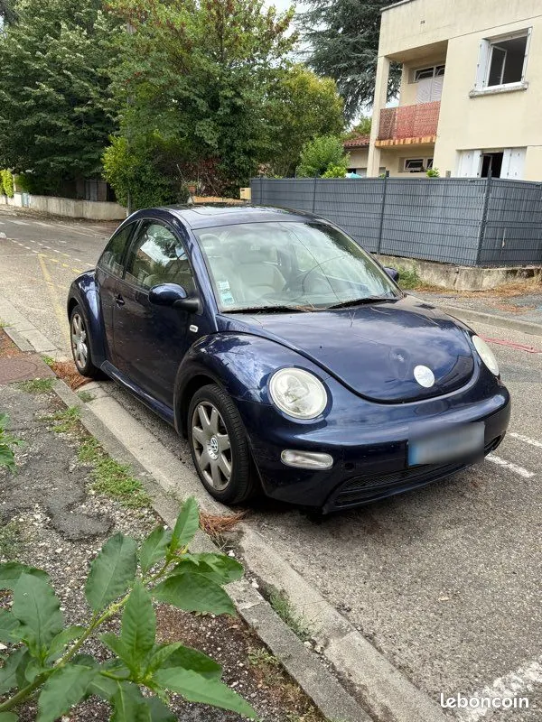 Volkswagen New Beetle 2002 photo 2