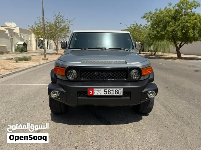 Toyota Fj Cruiser 2010 photo 2