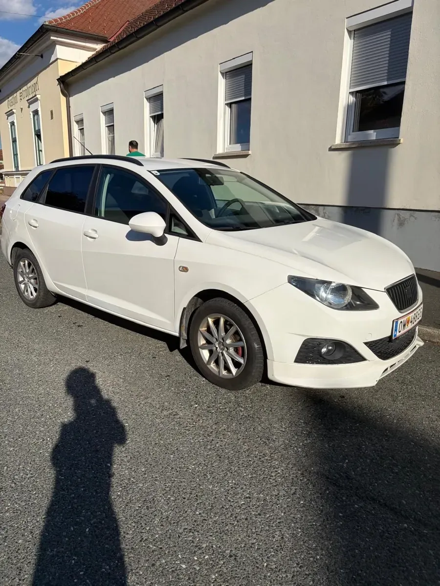 Seat Ibiza 2011 photo 2