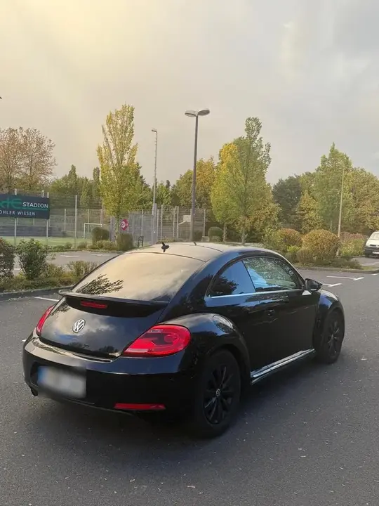 Volkswagen Beetle