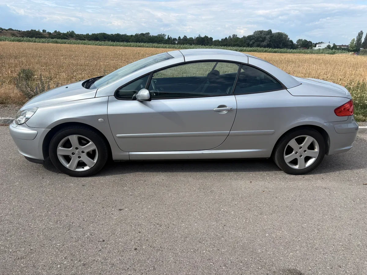 Peugeot 307 2004 photo 3