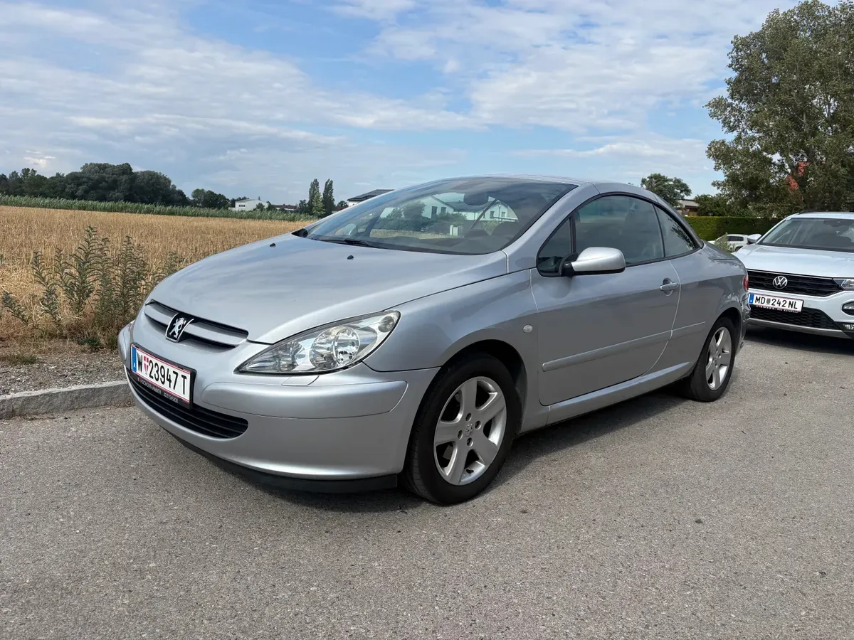 Peugeot 307 2004 photo 2