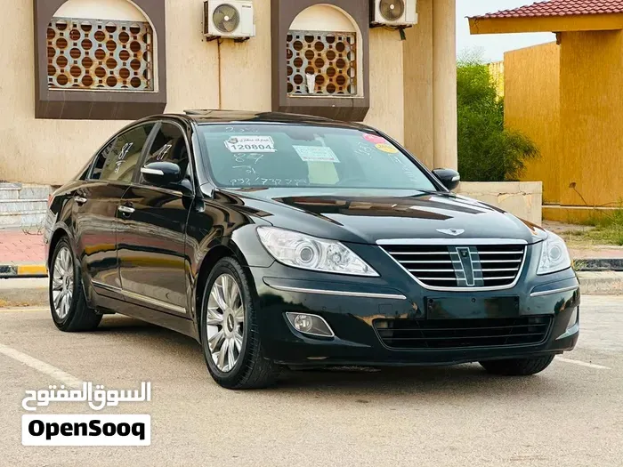 Genesis Sonata 2010 photo 5