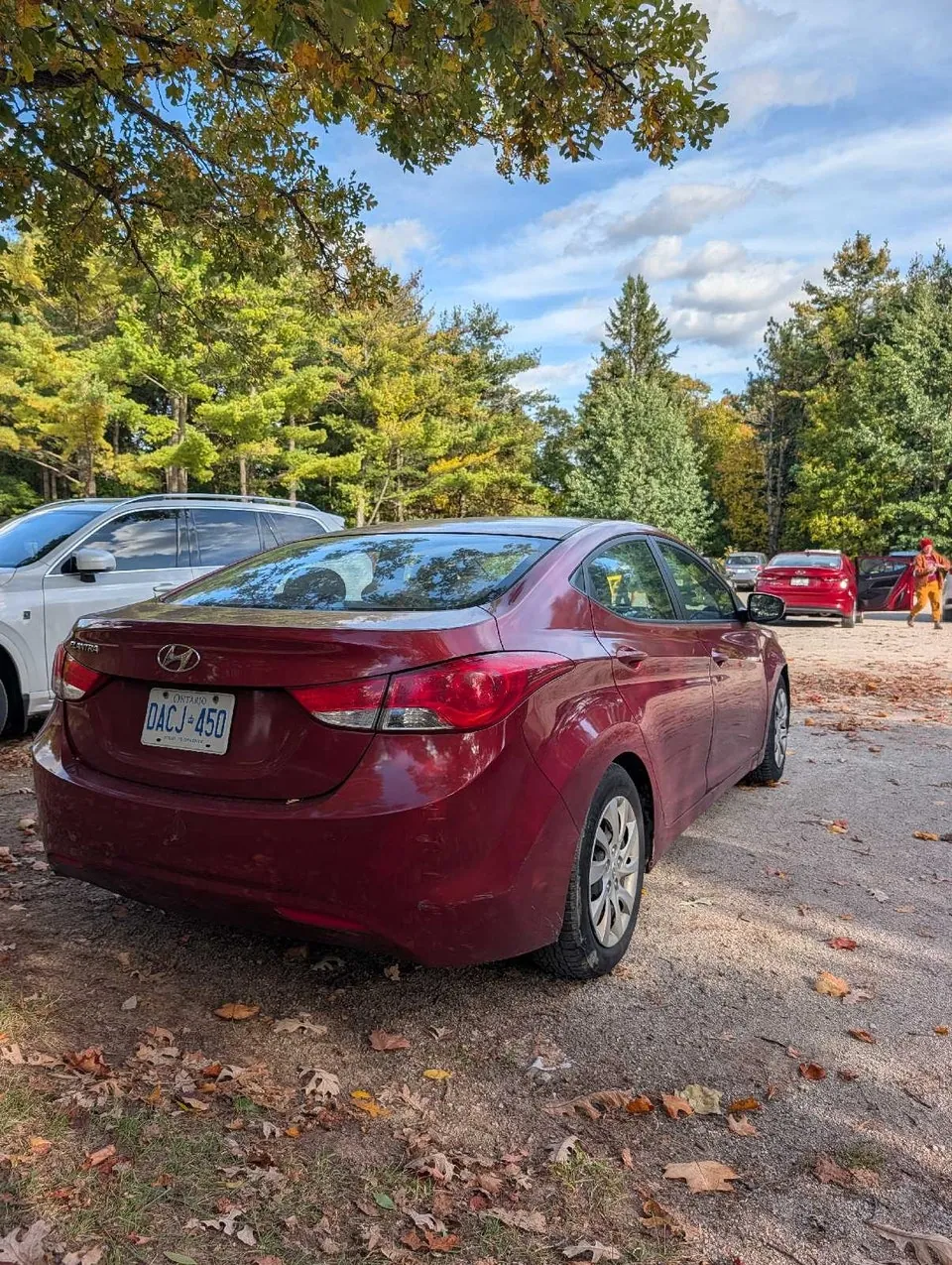 Hyundai Elantra 2011 photo 5
