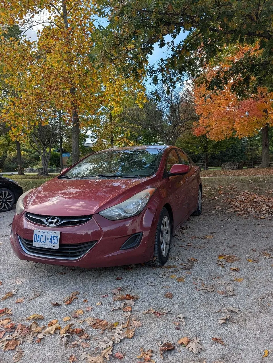 Hyundai Elantra 2011 photo 3