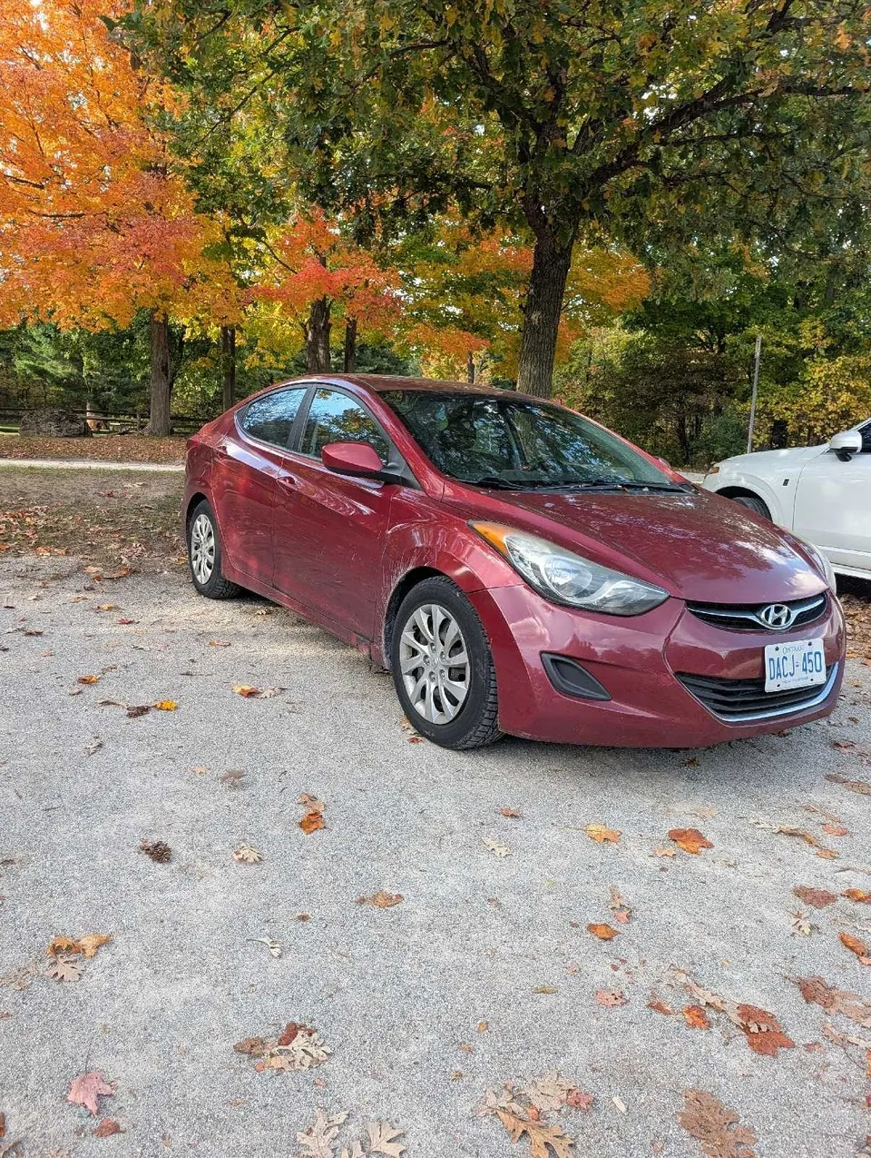 Hyundai Elantra 2011 photo 4