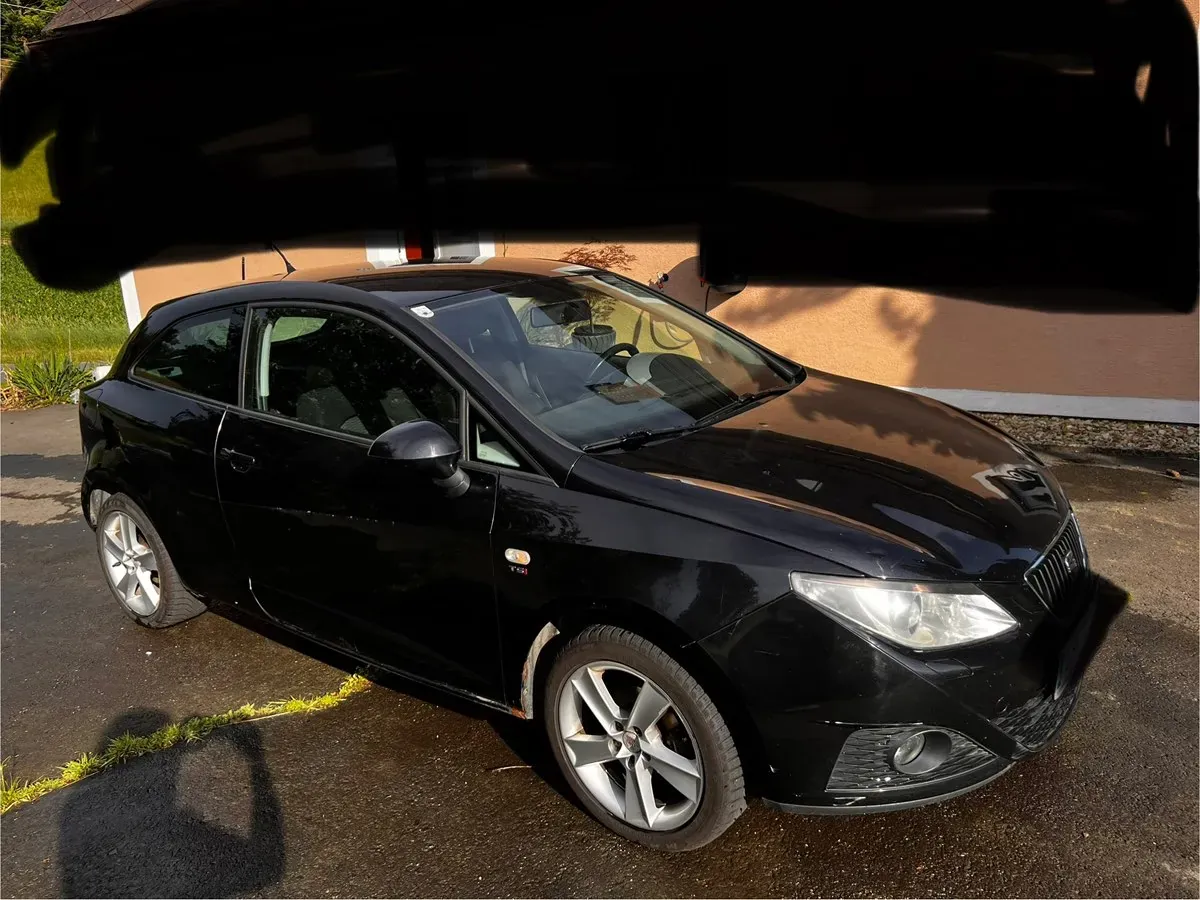 Seat Ibiza 2011 photo 3