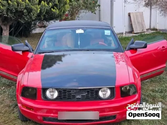 Ford Mustang 2010 photo 4
