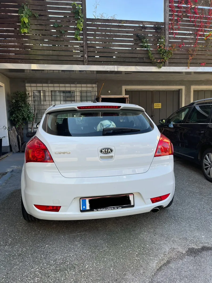 Kia Proceed 2009 photo 2