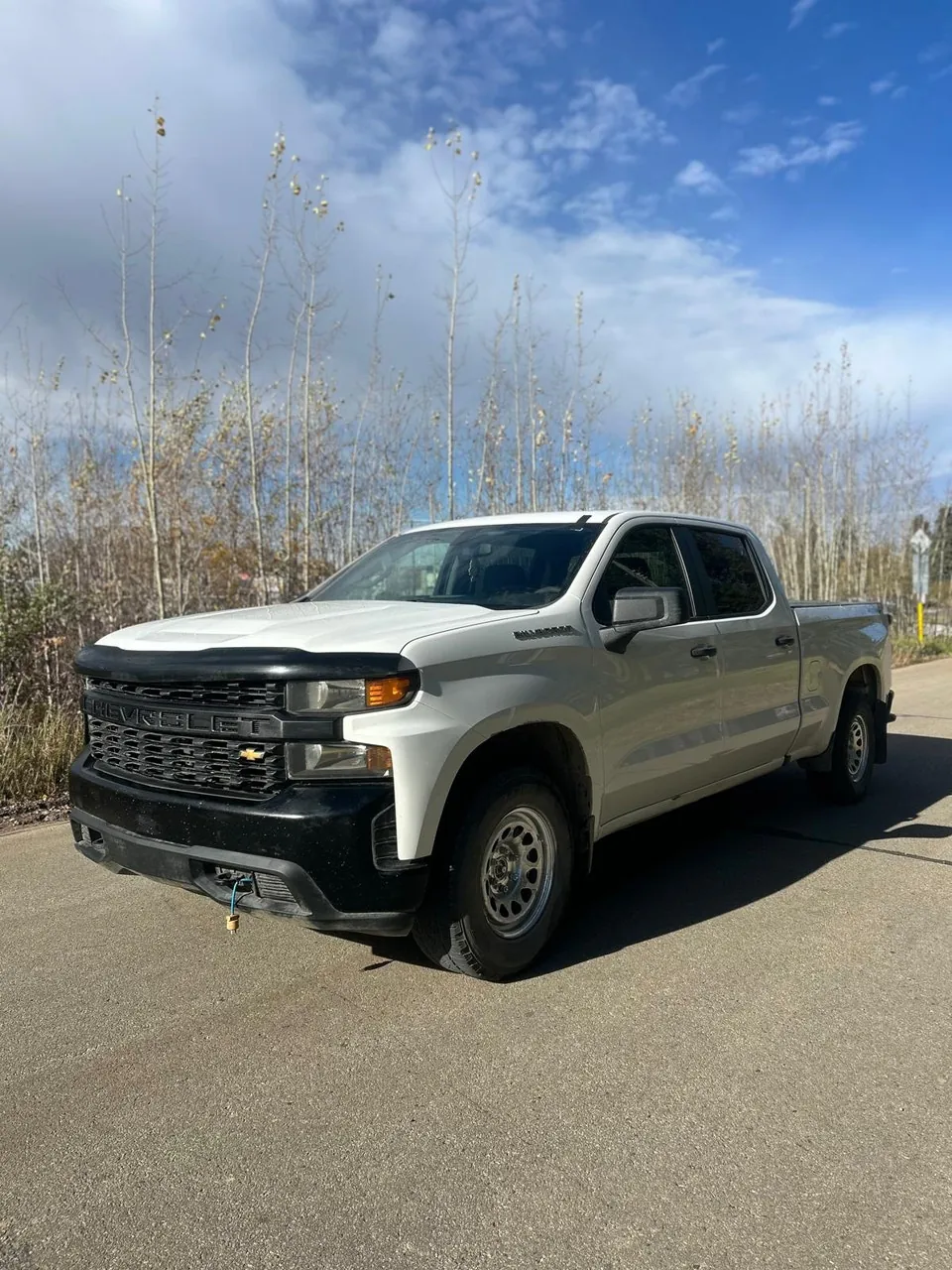 Chevrolet Silverado 2500 2020 photo 3