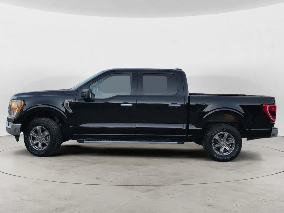 Ford F-150 2021 photo 3