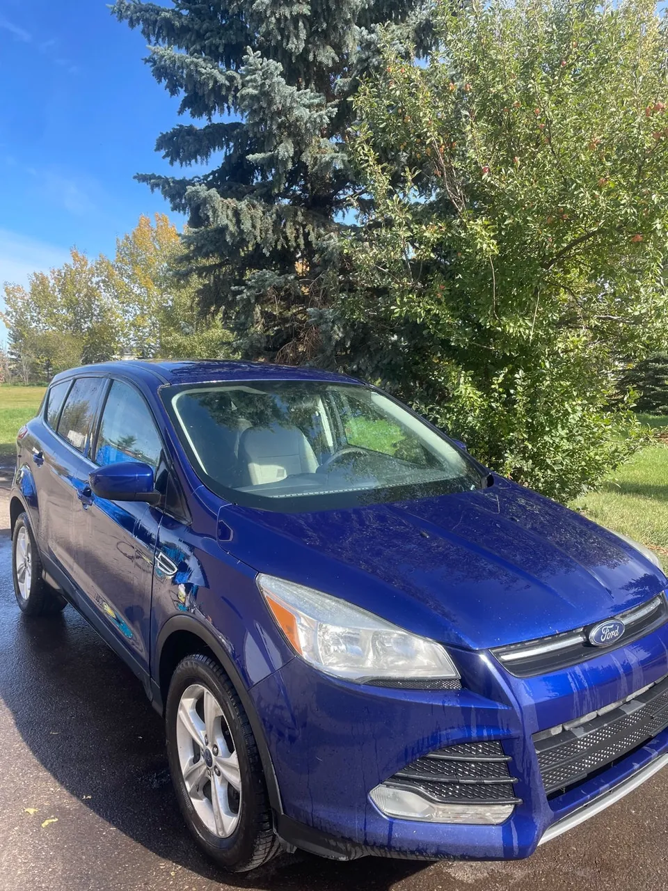 Ford Escape