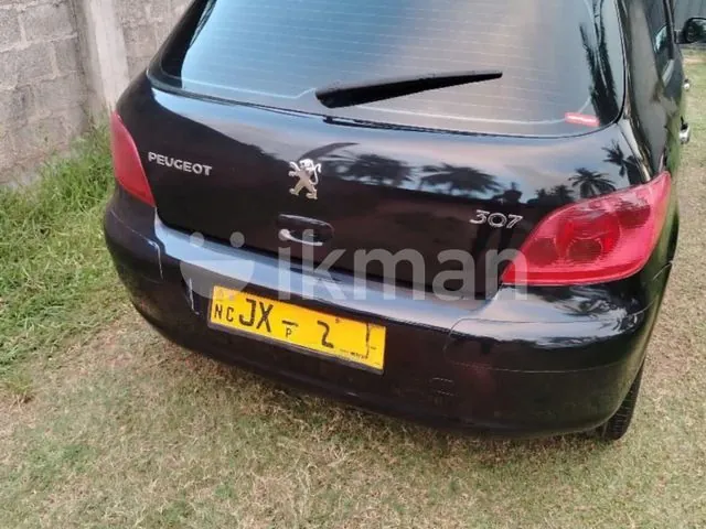 Peugeot 307 2001 photo 3