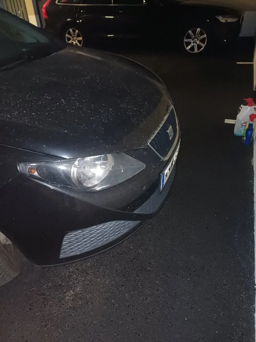 Seat Ibiza 2010 photo 3