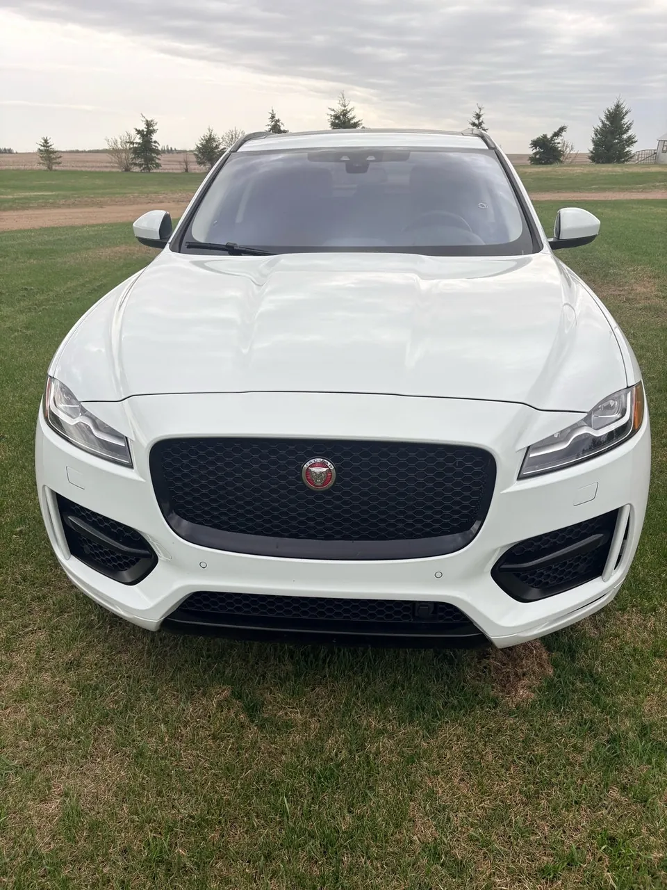 Jaguar F-Pace 2017 photo 2