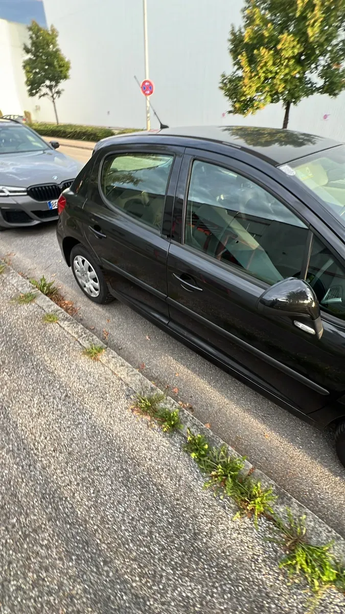 Peugeot 207 2010 photo 3