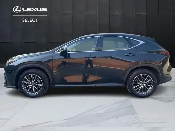 Lexus Nx 2024 photo 4