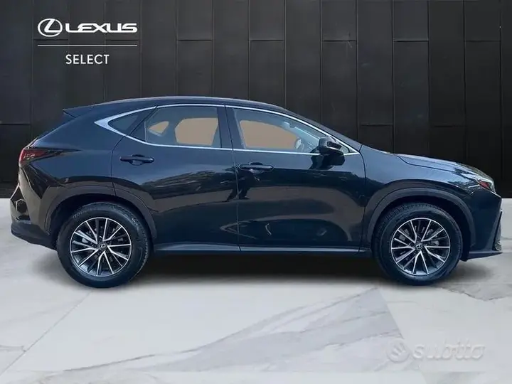 Lexus Nx 2024 photo 5