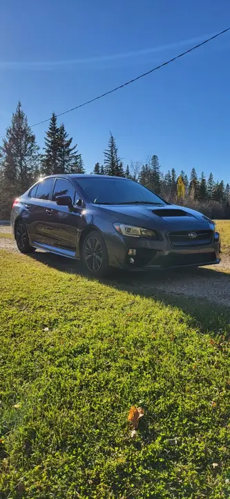 Subaru Wrx